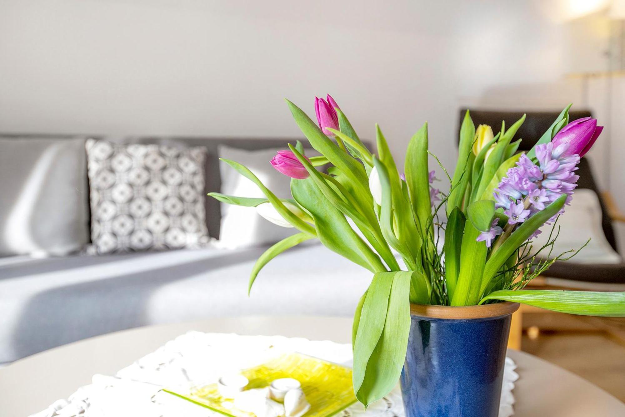 Ferienwohnung Kappeln - Kiekut 11 Екстериор снимка
